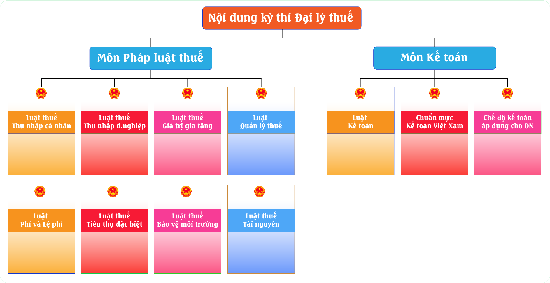 nội dung lớp ôn thi đại lý thuế